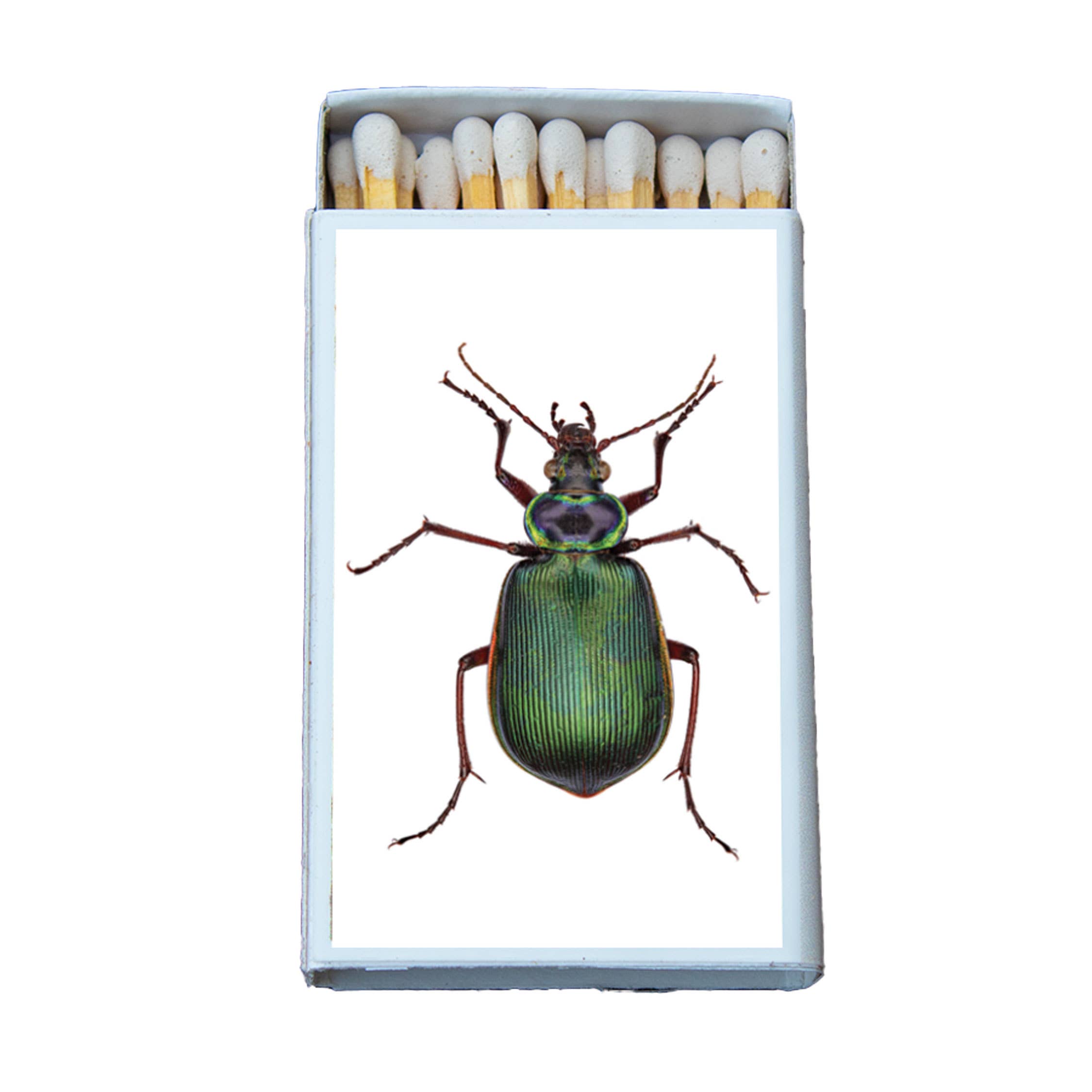 Beetle Matches