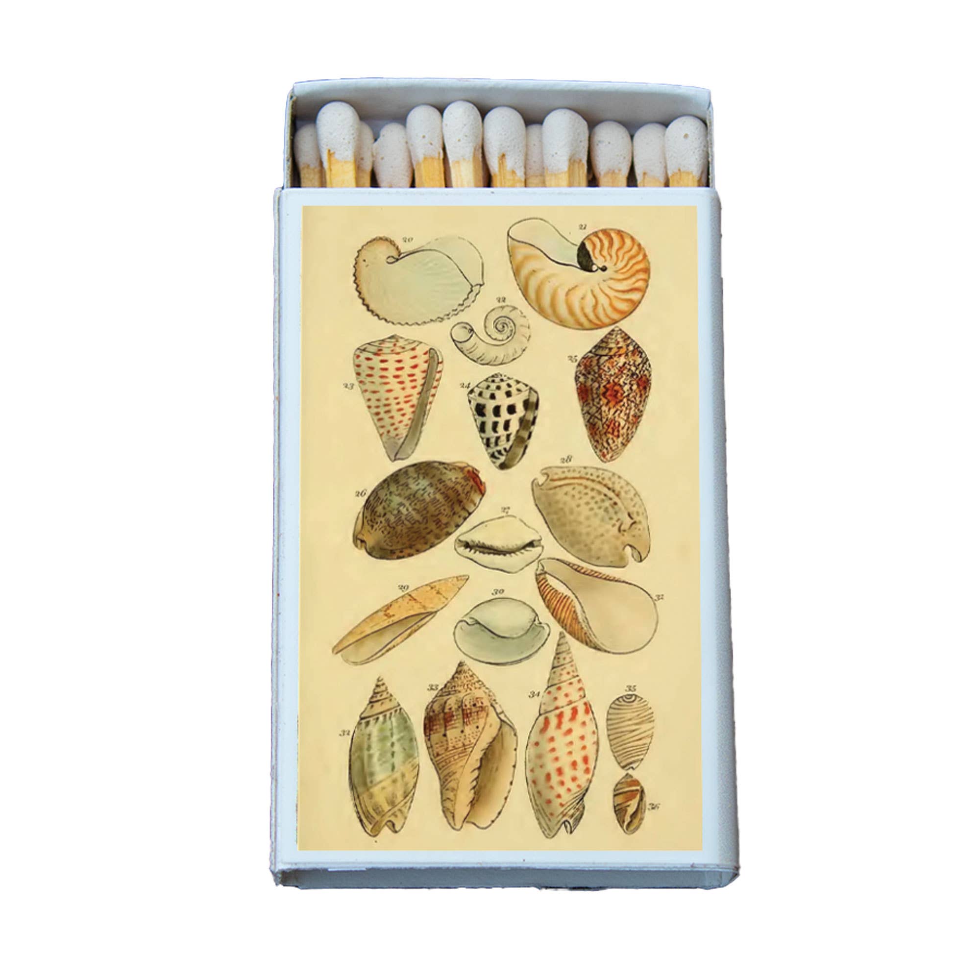 Small Shell Matches