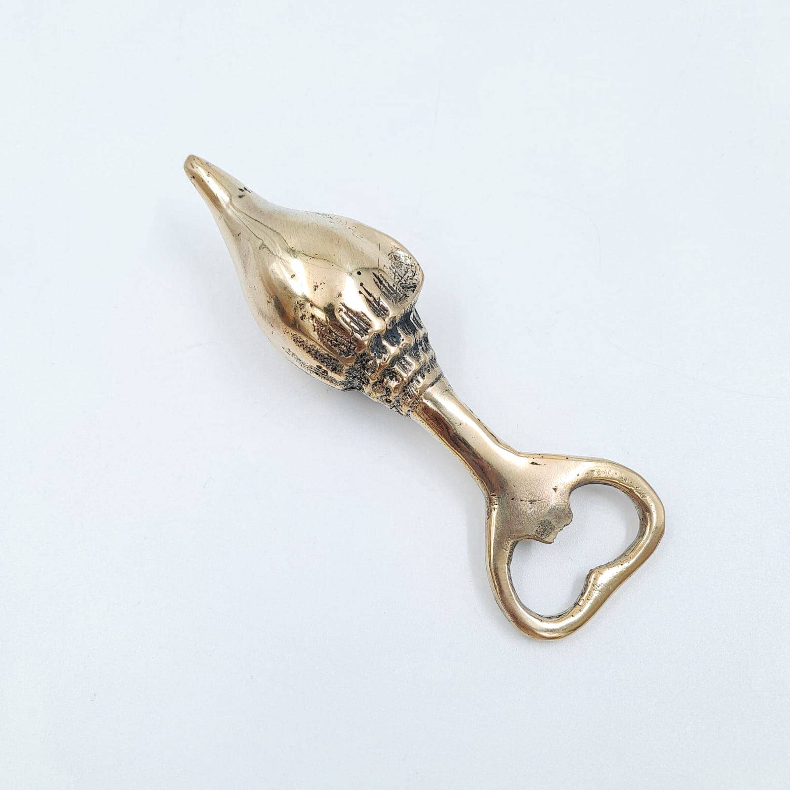 Seashell Bottle Opener