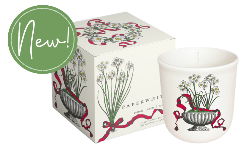 Paperwhite - Terrace Collection Candle