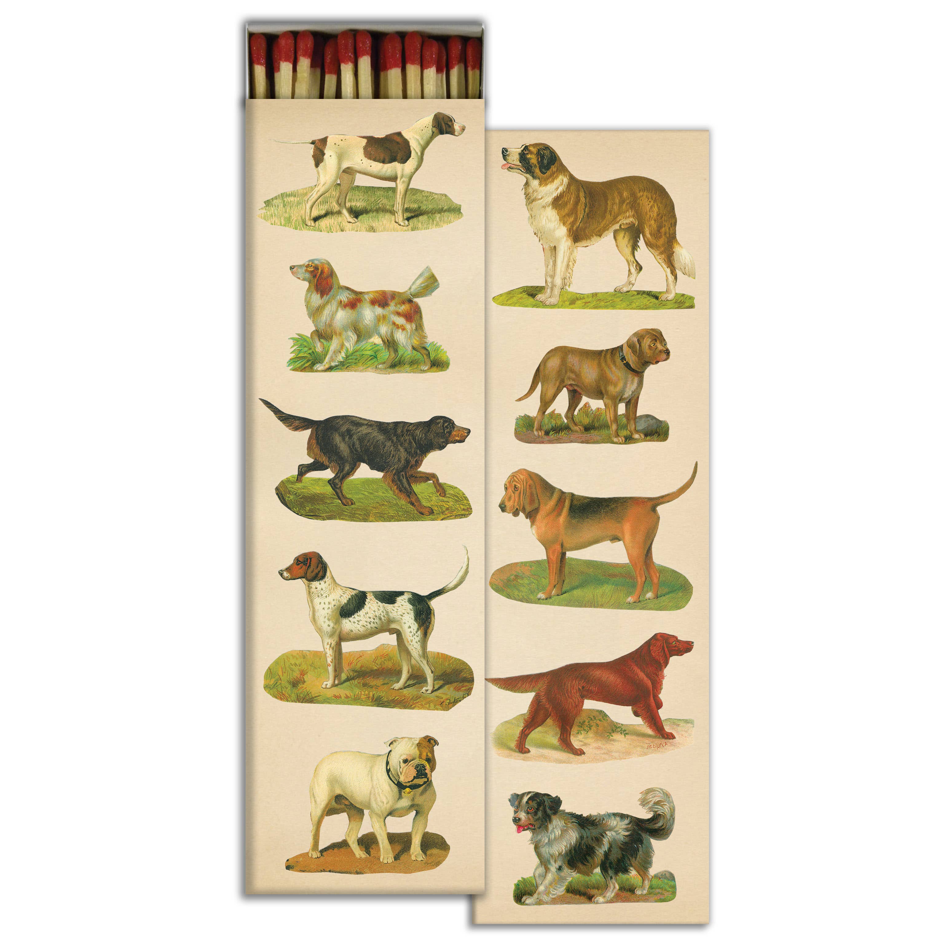 Good Boy Matches