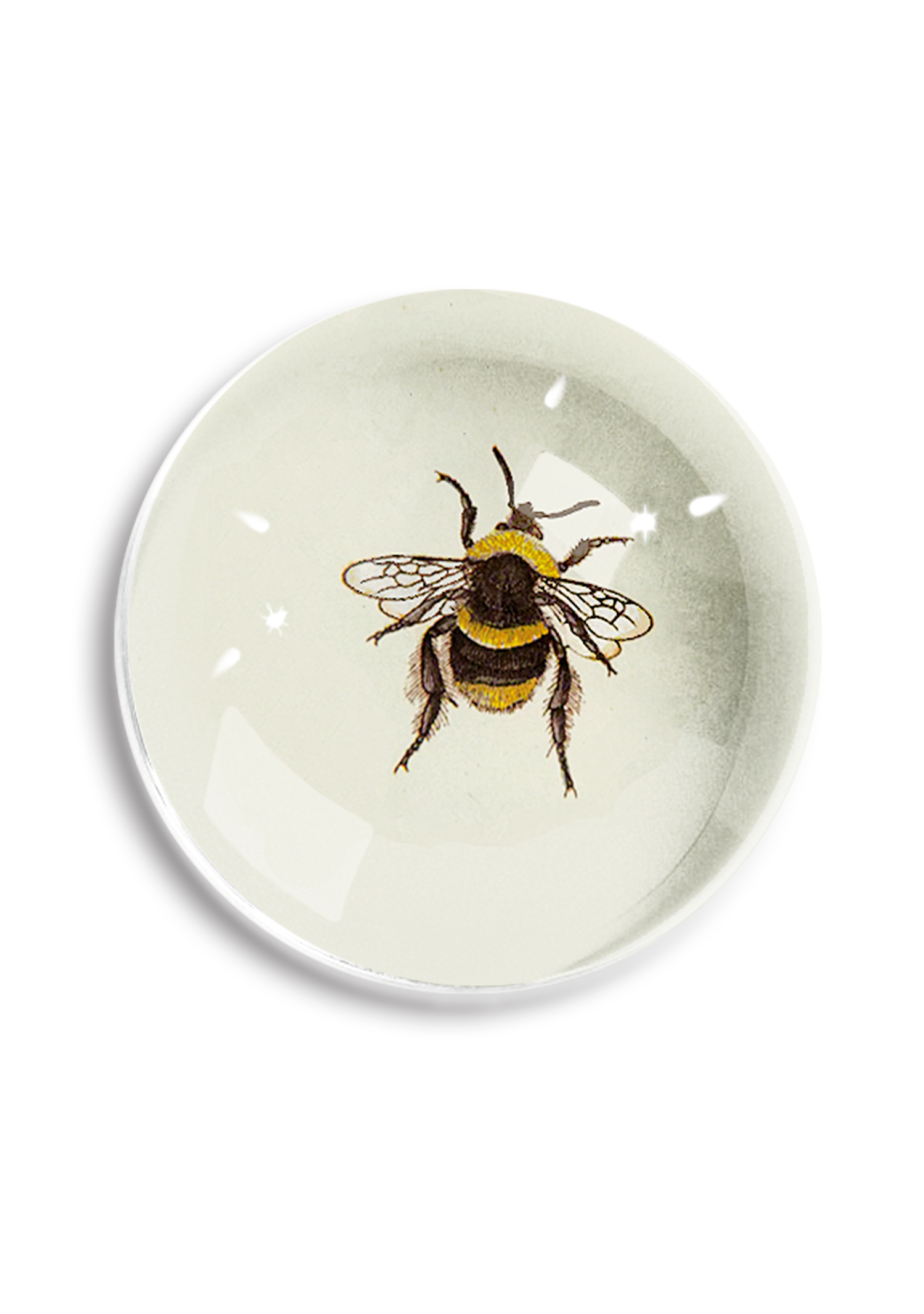 Honey Bee Dome Paperweight