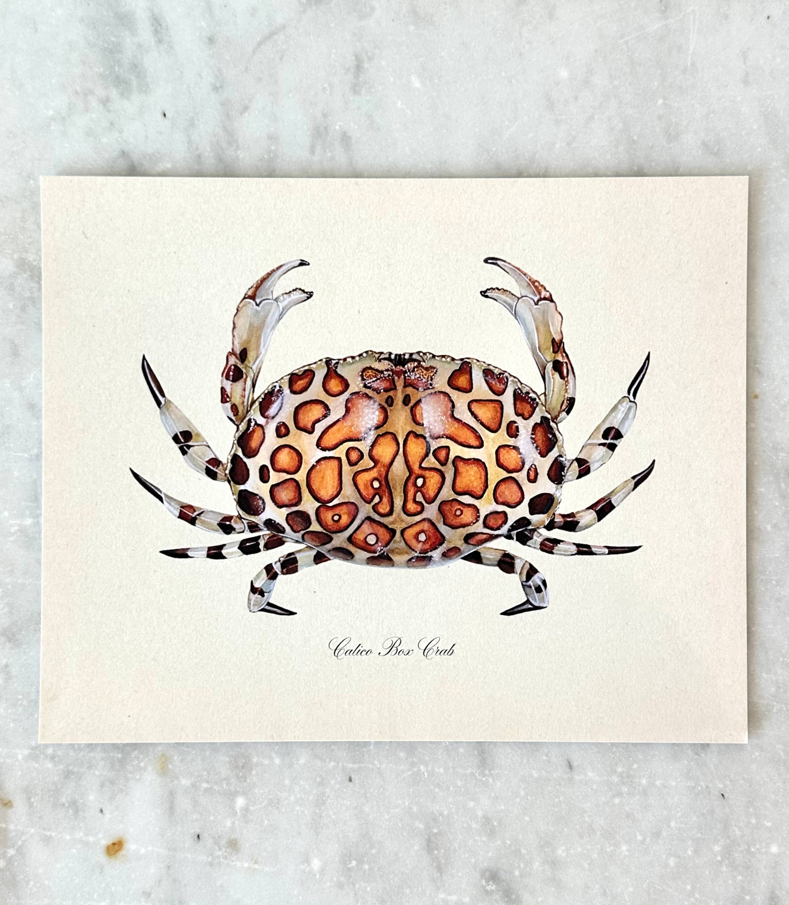 Calico Crab Coastal Vintage Watercolor Art Print