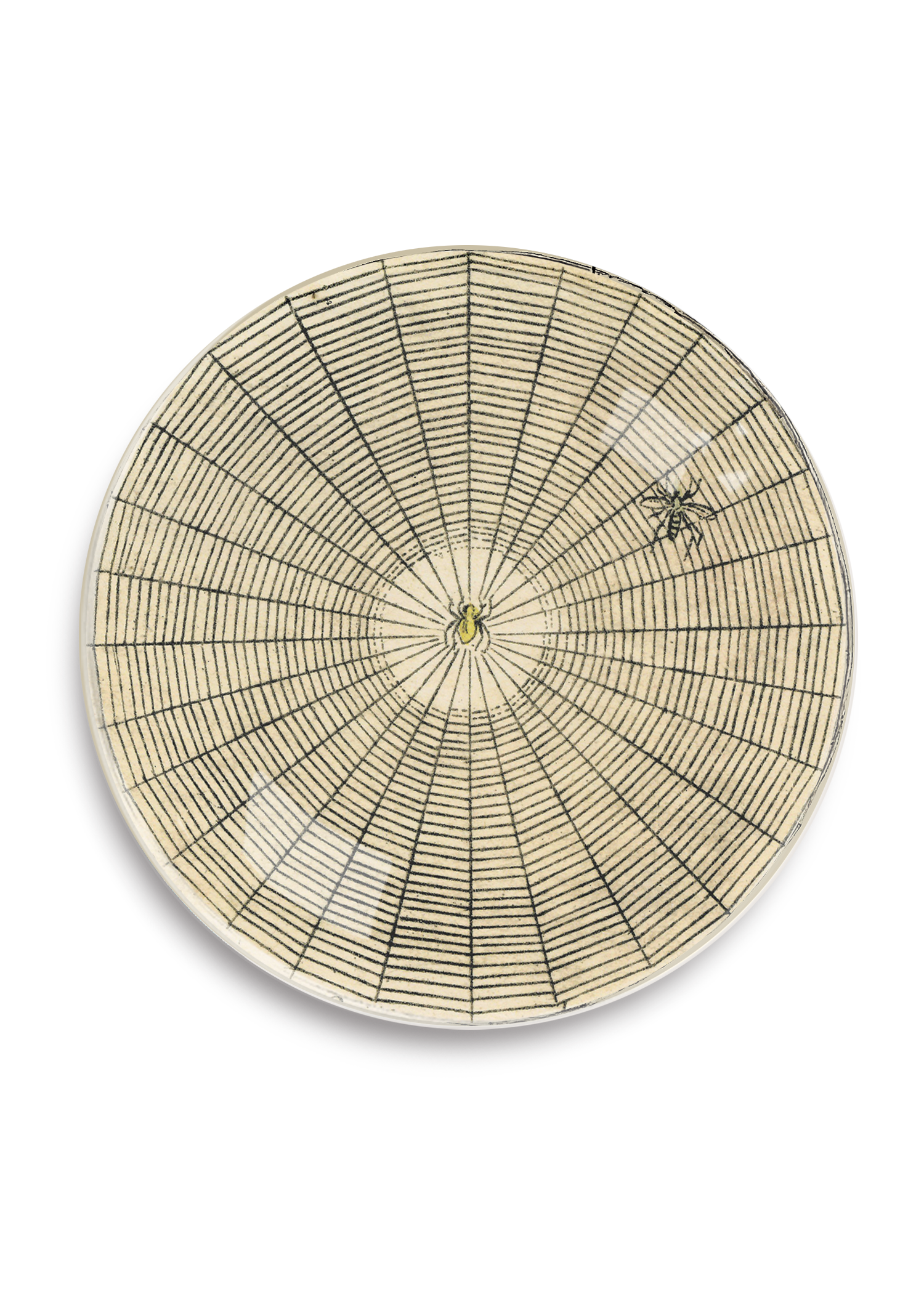 Spider Web Round Decoupage Tray