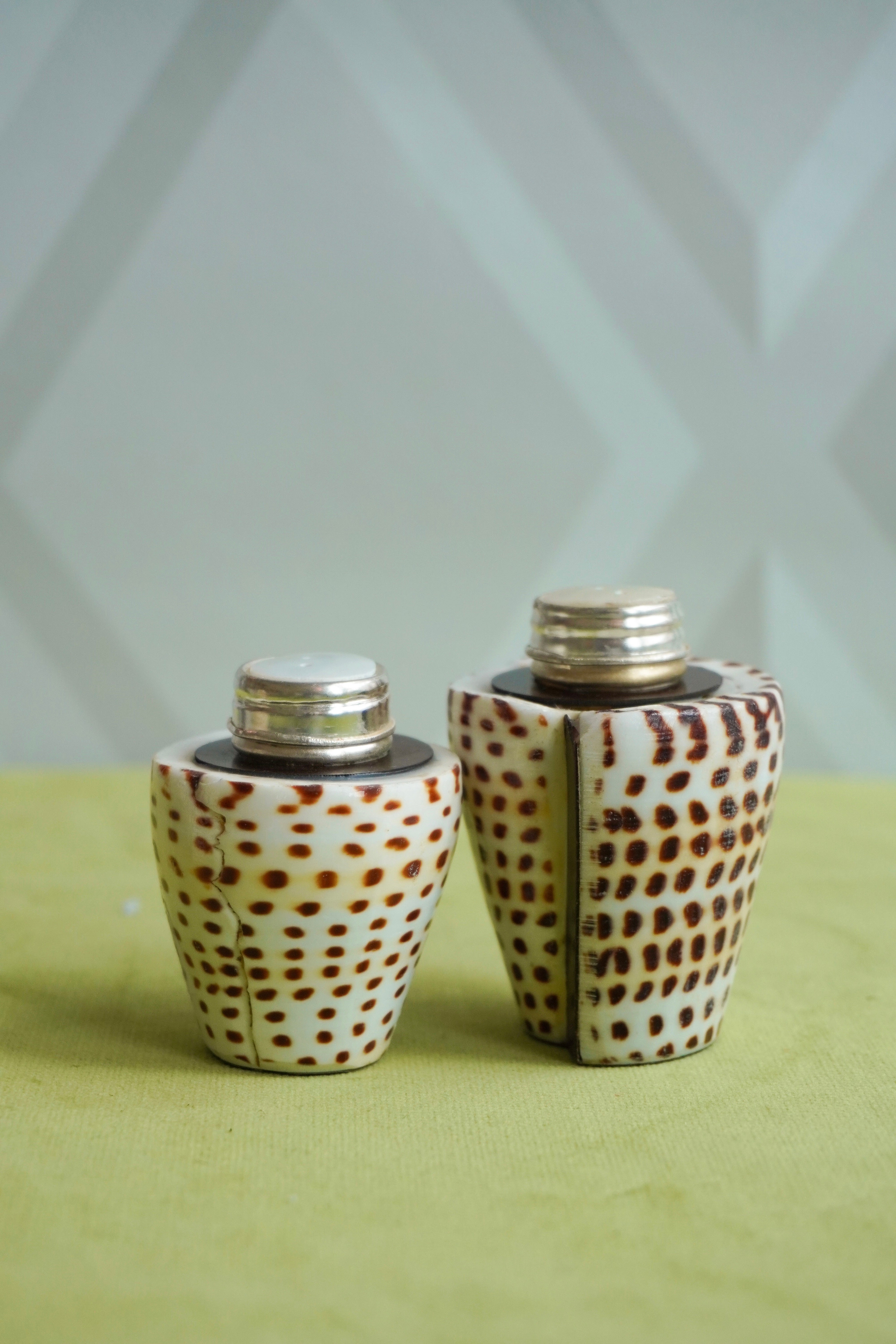 Shell Salt & Pepper Shaker Set