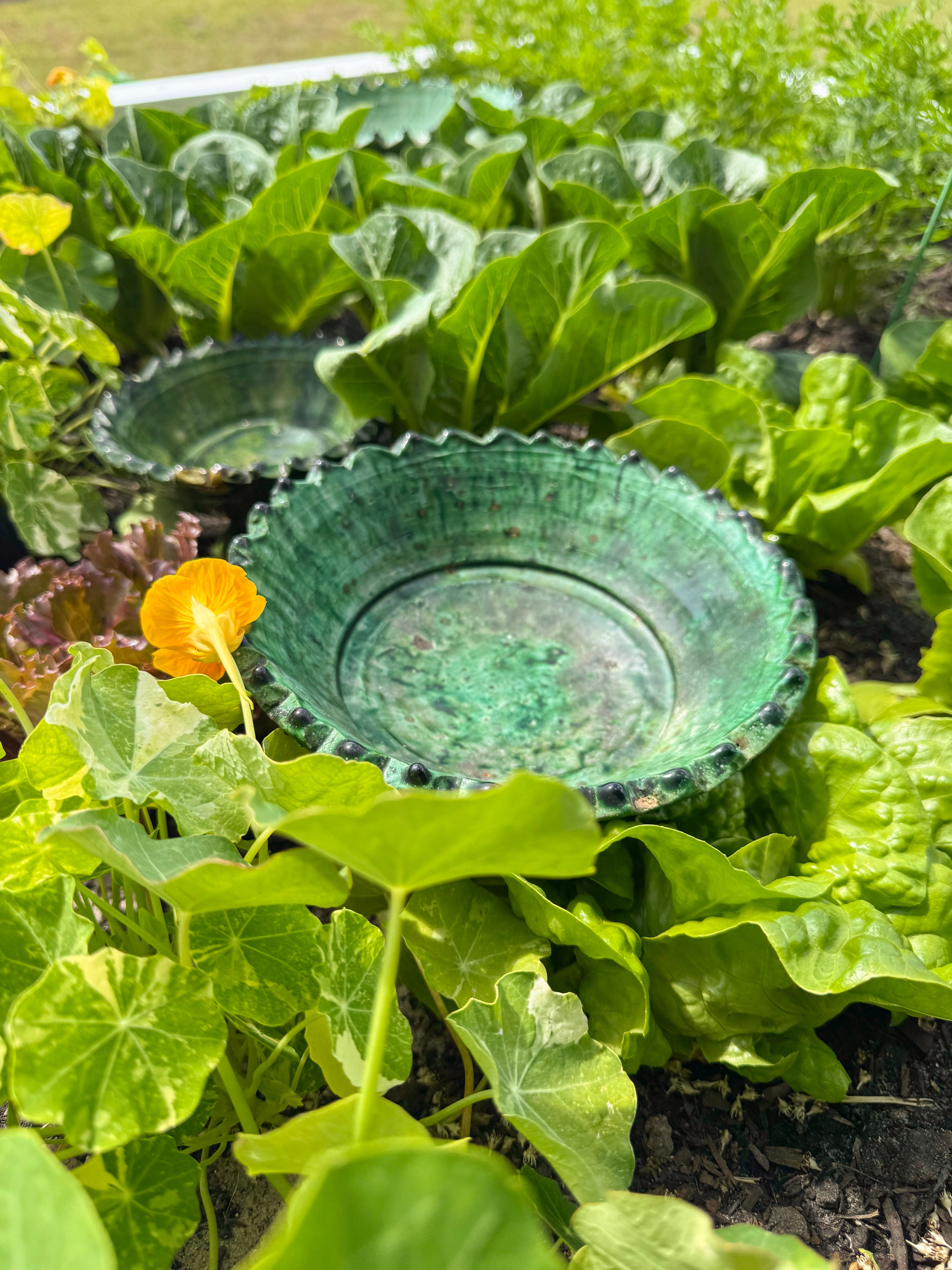 Tamegroute Pedestal Bowls