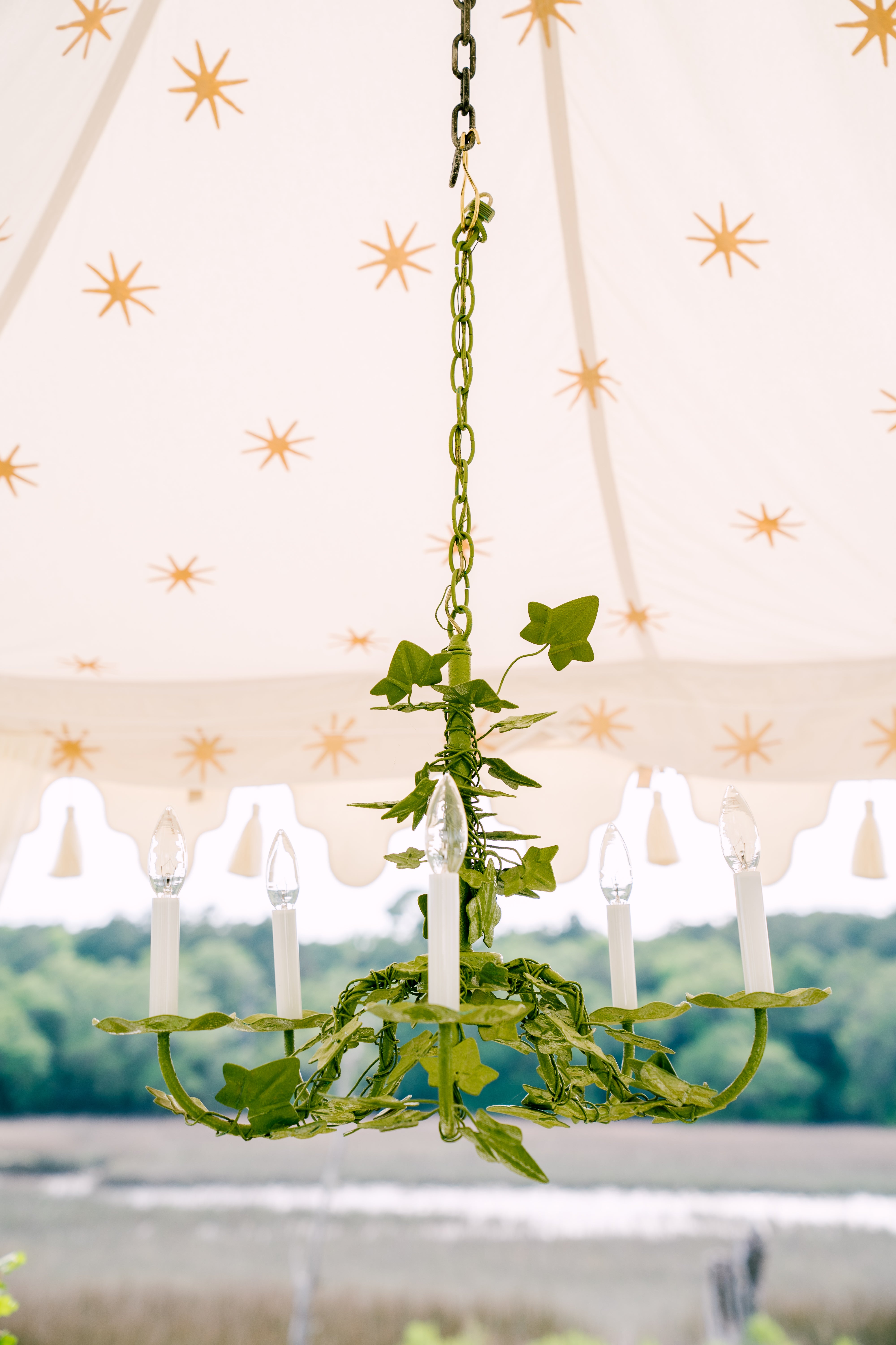 Ivy Tole Chandelier