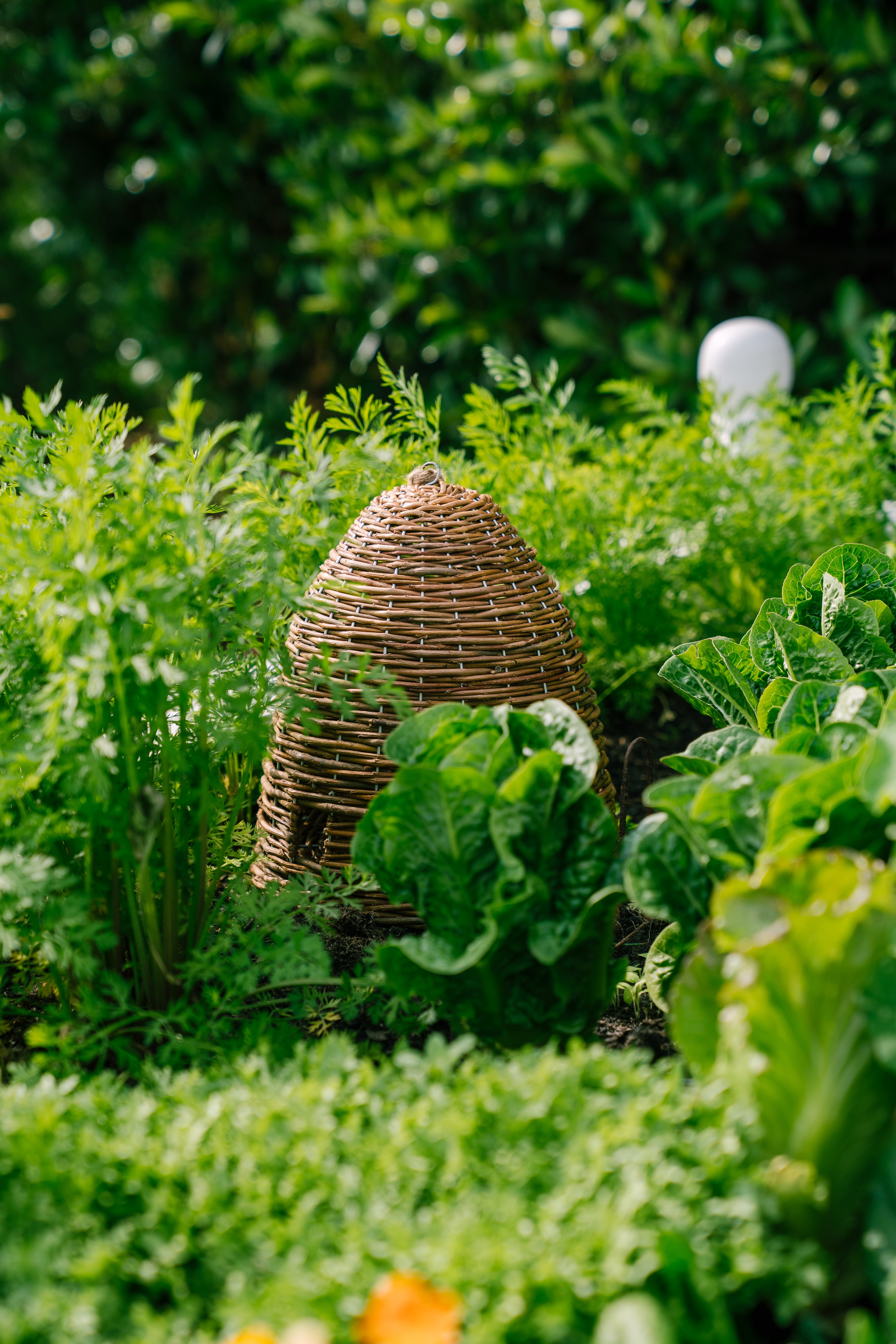 Willow Bee Skep