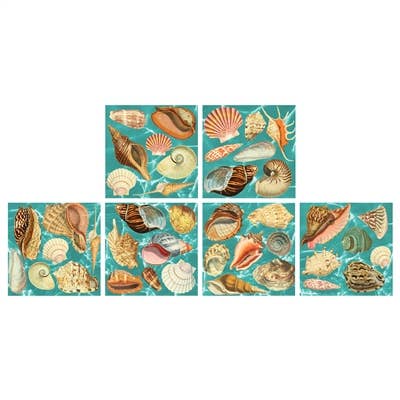 Sea Shells Matchbox