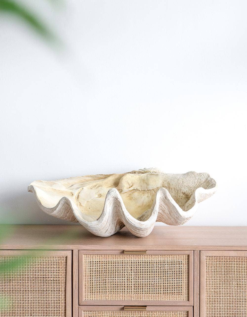 Large Clam Shell Accent