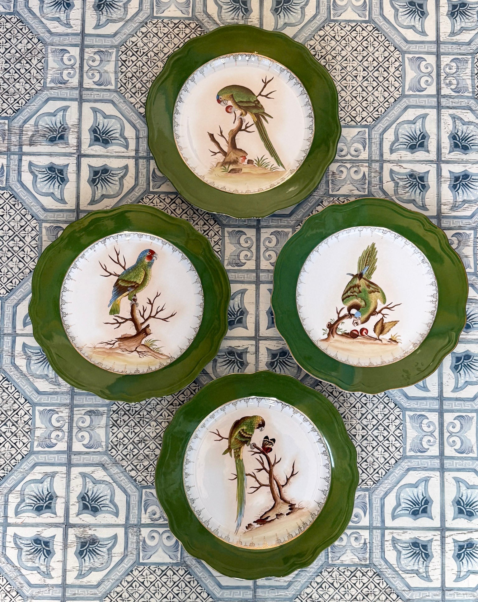 Four decorative plates with nature-themed designs on a patterned tile background