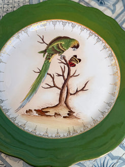 Decorative plate with a parrot and branch design on a green rim