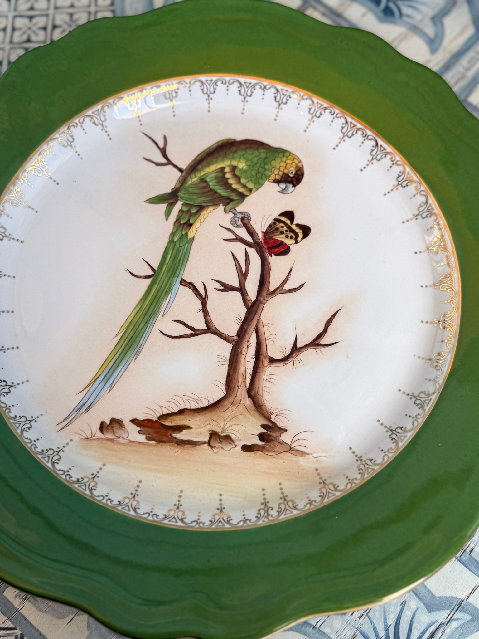 Decorative plate with a parrot and branch design on a green rim
