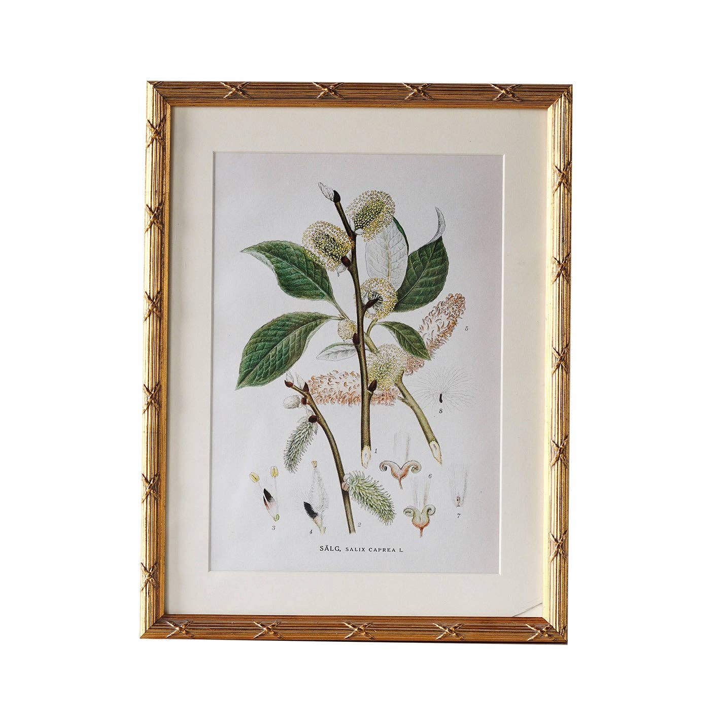 Arundel Matted Frame: 9"x12"