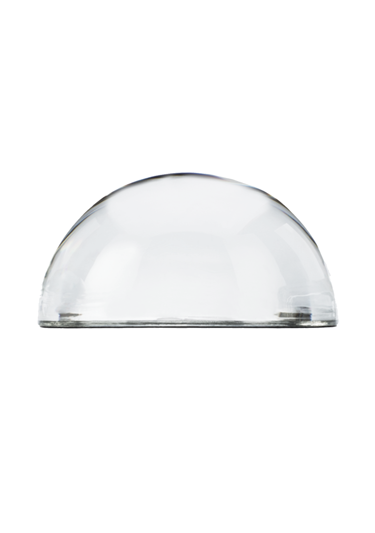 Honey Bee Dome Paperweight